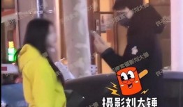 刘大锤爆料林更新视频,揭秘明星幕后生活片段