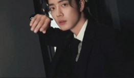 刘大锤爆料林更新视频,揭秘明星幕后生活片段