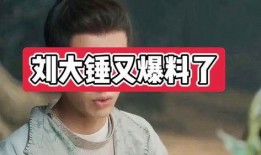 刘大锤爆料林更新视频,揭秘明星幕后生活片段