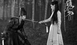 绣春刀2电影在线观看,暗夜危机——江湖恩怨，刀光剑影再续传奇