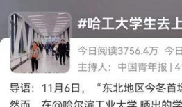 哈尔滨高校爆料视频大全,揭秘校园生活点滴