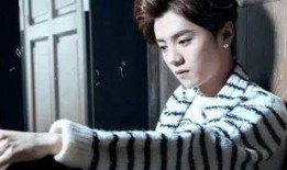 鹿晗爆料陈赫视频,揭秘娱乐圈背后的真相