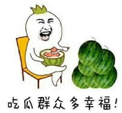 娱乐圈吃瓜关键词