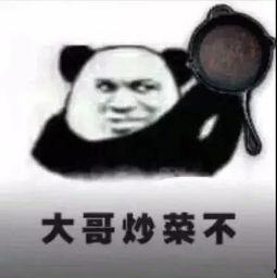 娱乐吃瓜酱大佬免费阅读,免费阅读，揭秘娱乐圈幕后风云