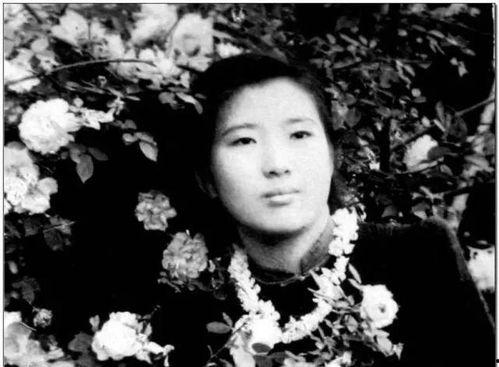 娱乐圈摆烂吃瓜是谁