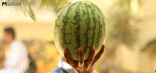 娱乐大事件吃瓜,揭秘最新大事件吃瓜指南