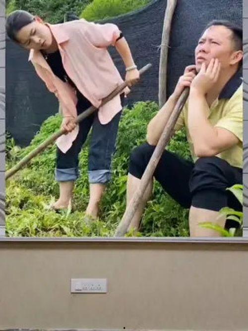 娱乐吃瓜群众一号,揭秘娱乐圈幕后风云